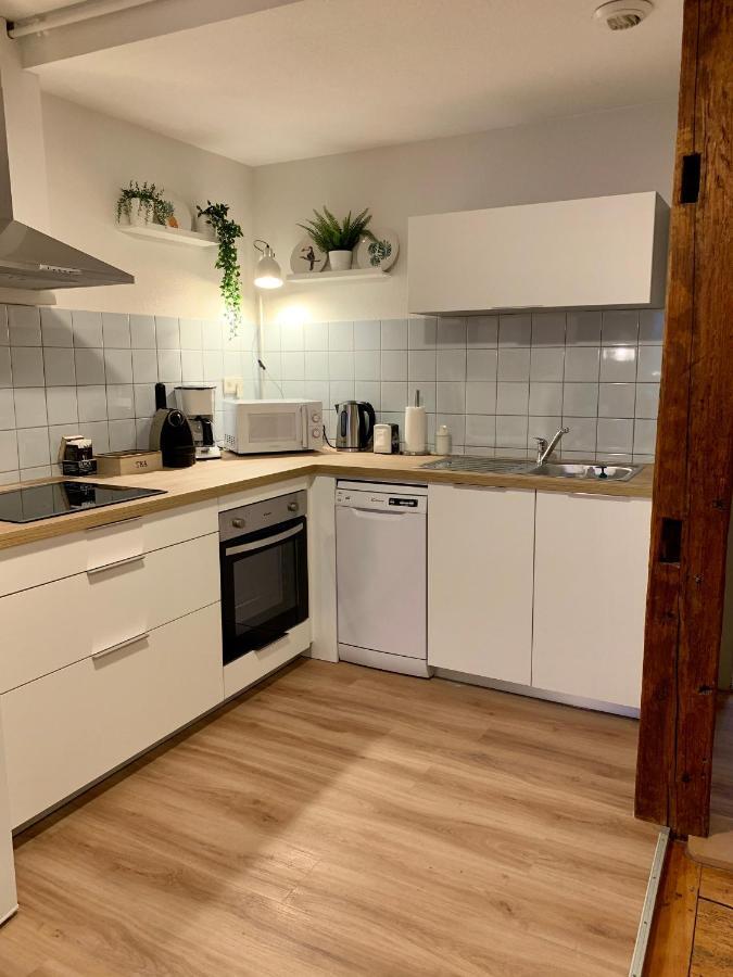 Appartements Des 2 Tetes Кольмар Экстерьер фото