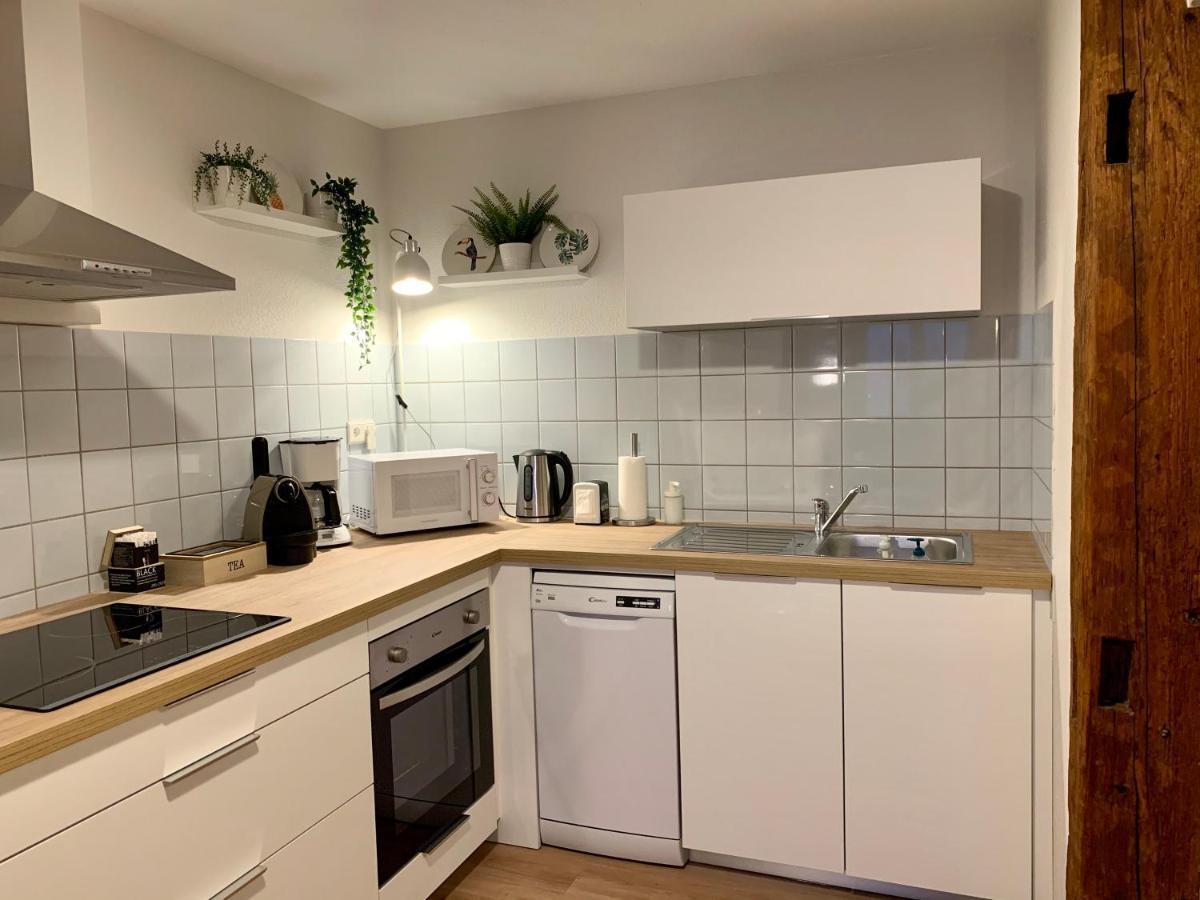 Appartements Des 2 Tetes Кольмар Экстерьер фото