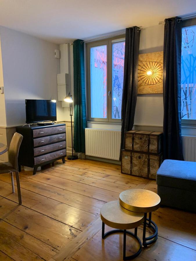 Appartements Des 2 Tetes Кольмар Экстерьер фото